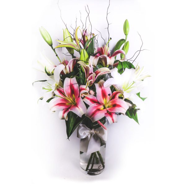 Lovely Musk Lilies