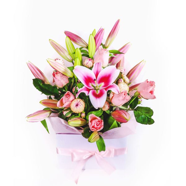 Maternal Gift Baby Girl