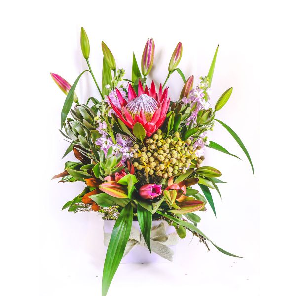 King Protea