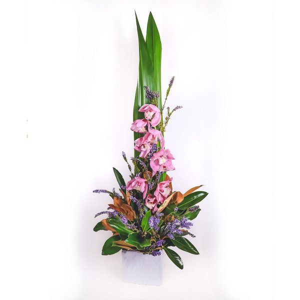 White Longleaf Orchid